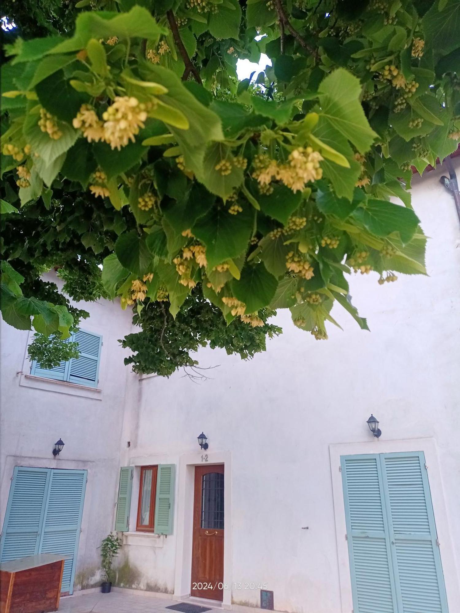Agriturismo San Martino Foligno Bagian luar foto