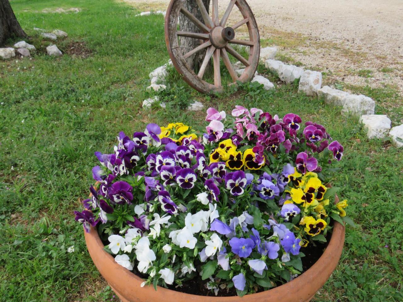 Agriturismo San Martino Foligno Bagian luar foto