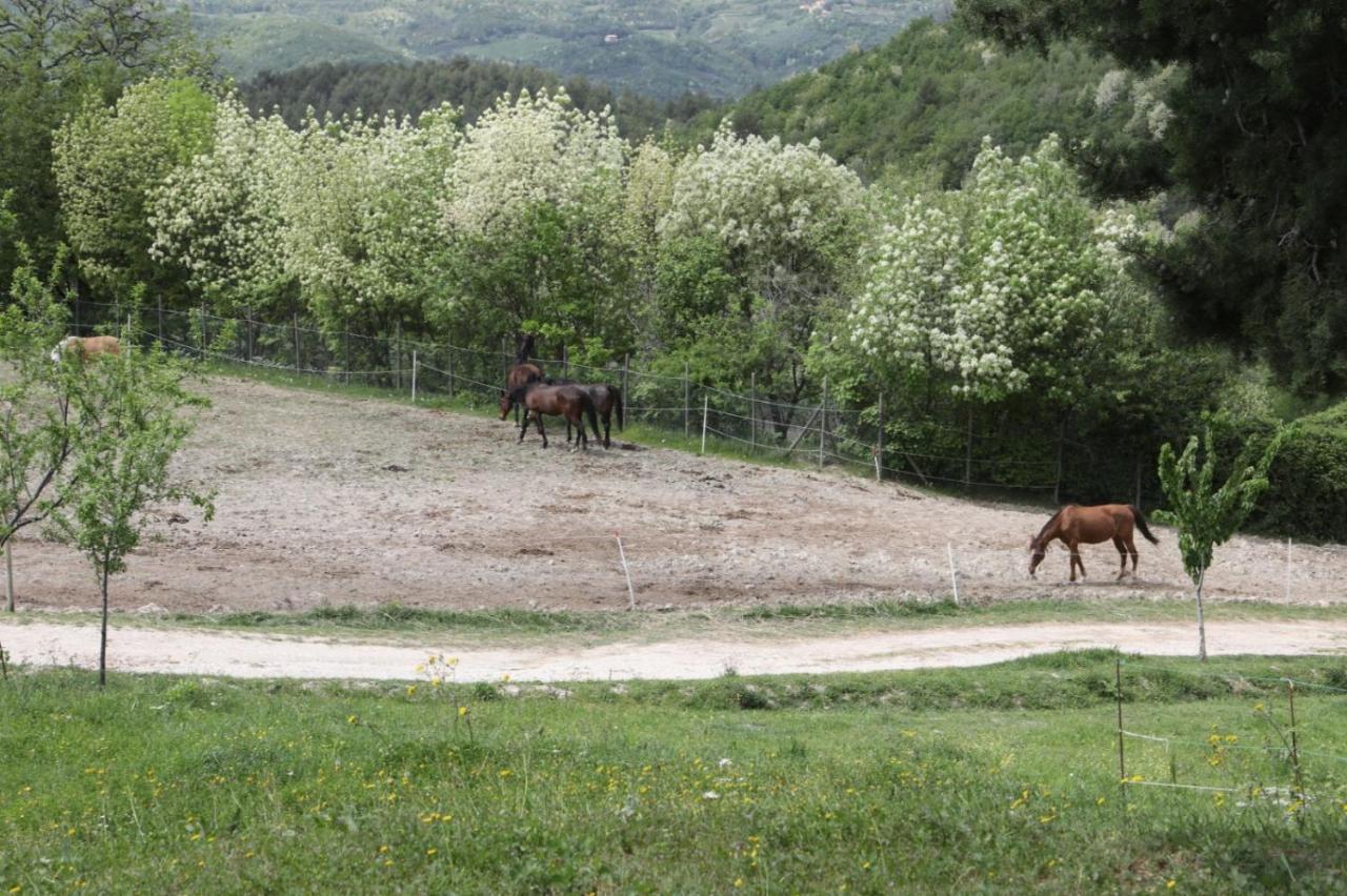 Agriturismo San Martino Foligno Bagian luar foto