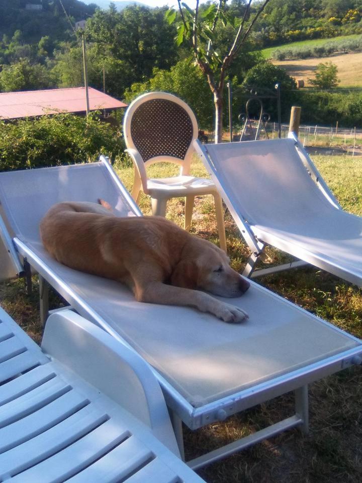 Agriturismo San Martino Foligno Bagian luar foto